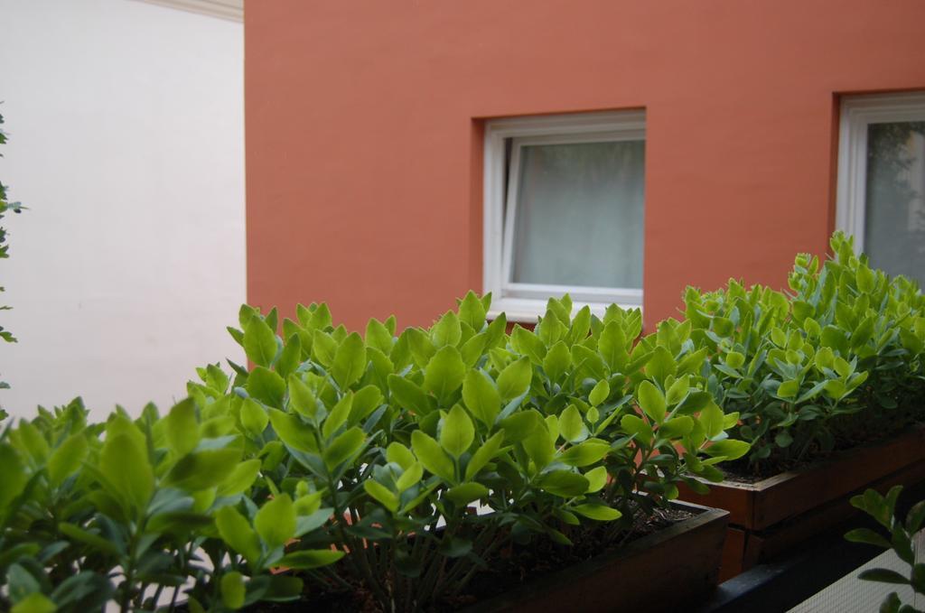 Buda Castle Apartments Budapest Bilik gambar