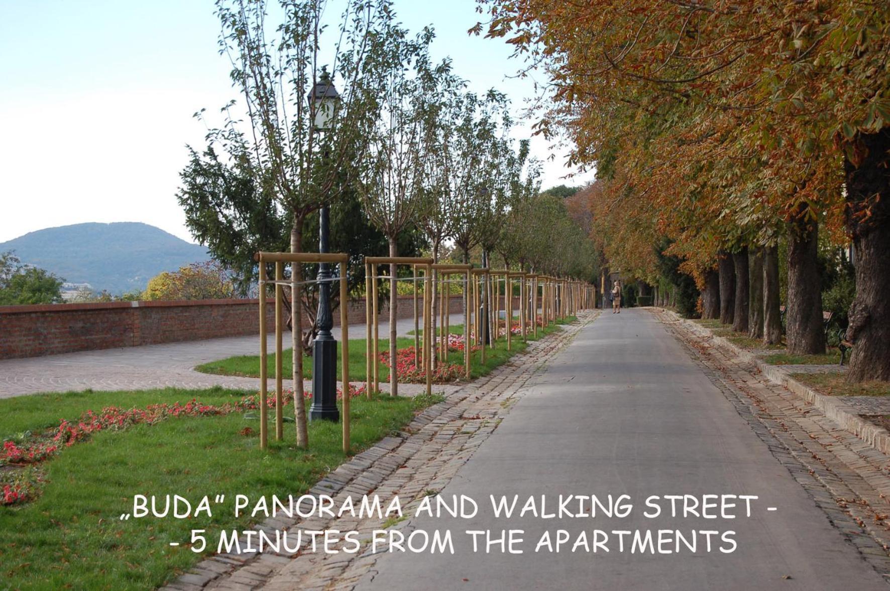 Buda Castle Apartments Budapest Luaran gambar